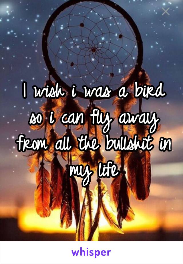 I wish i was a bird so i can fly away from all the bullshit in my life