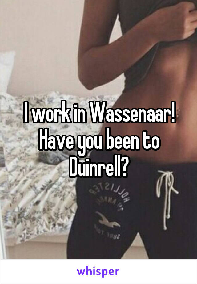 I work in Wassenaar! Have you been to Duinrell?