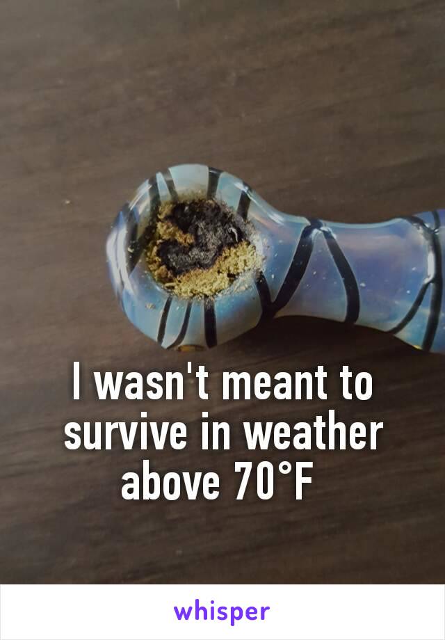 I wasn't meant to survive in weather above 70°F 