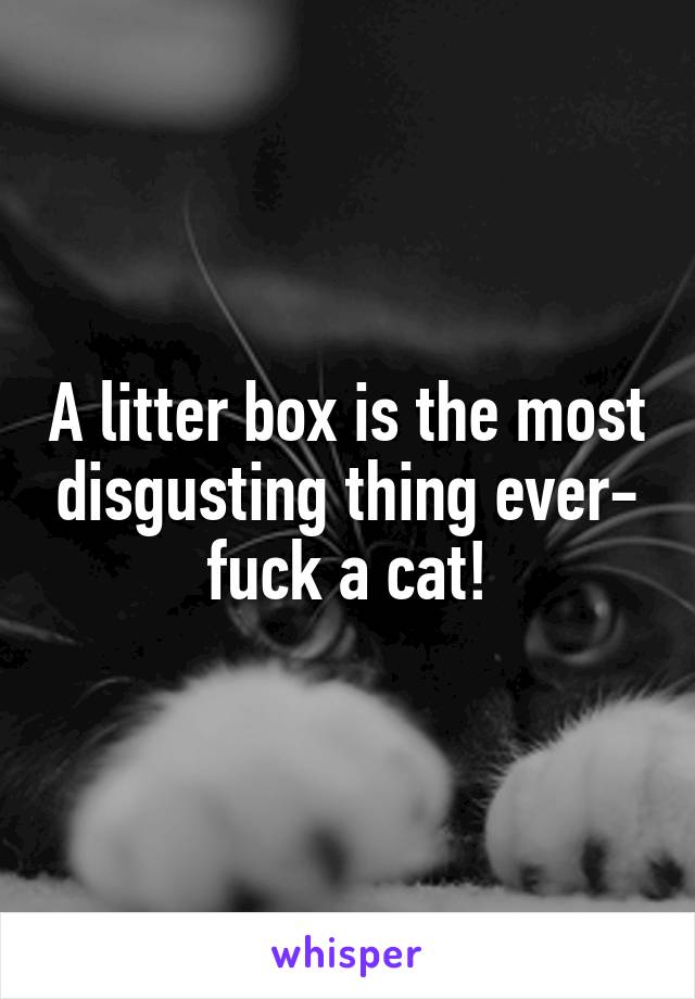 A litter box is the most disgusting thing ever- fuck a cat!