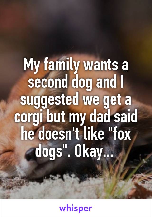 My family wants a second dog and I suggested we get a corgi but my dad said he doesn't like "fox dogs". Okay... 