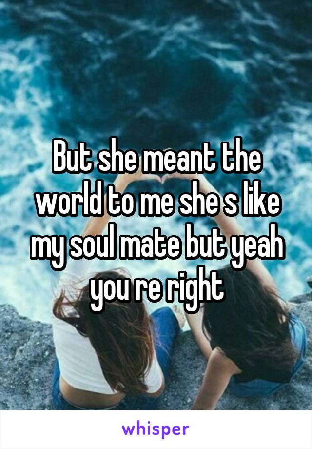 But she meant the world to me she s like my soul mate but yeah you re right