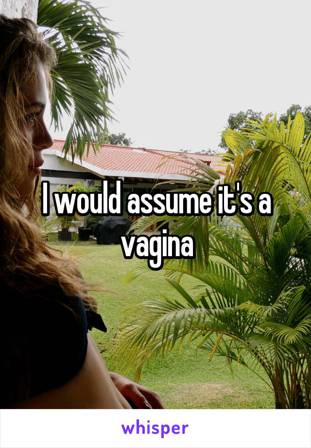 I would assume it's a vagina