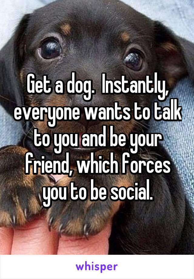 Get a dog.  Instantly, everyone wants to talk to you and be your friend, which forces you to be social.