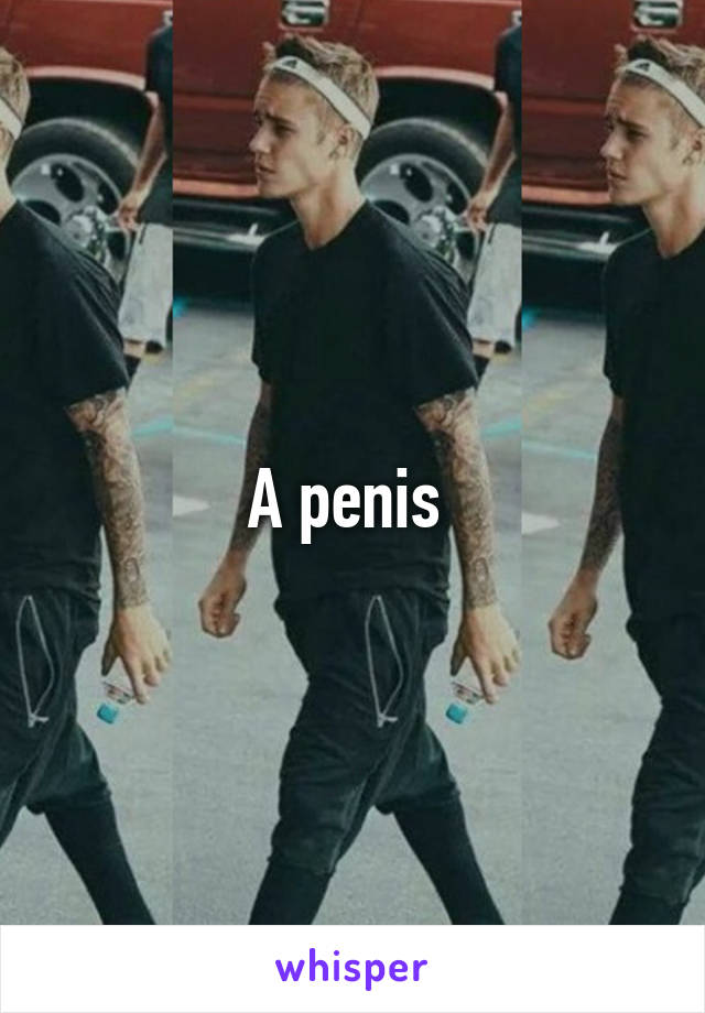 A penis 