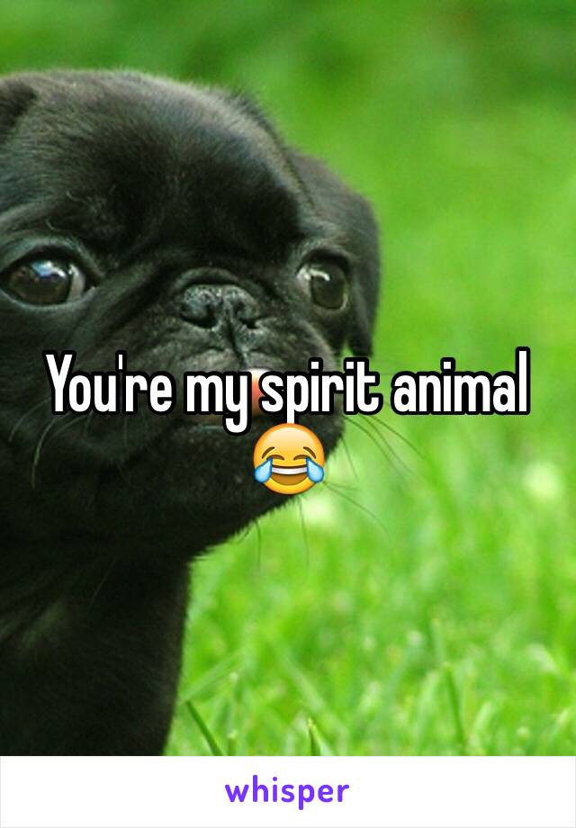 You're my spirit animal 😂