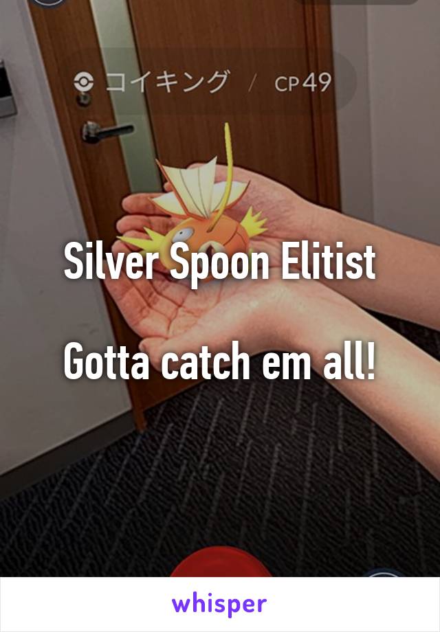 Silver Spoon Elitist

Gotta catch em all!