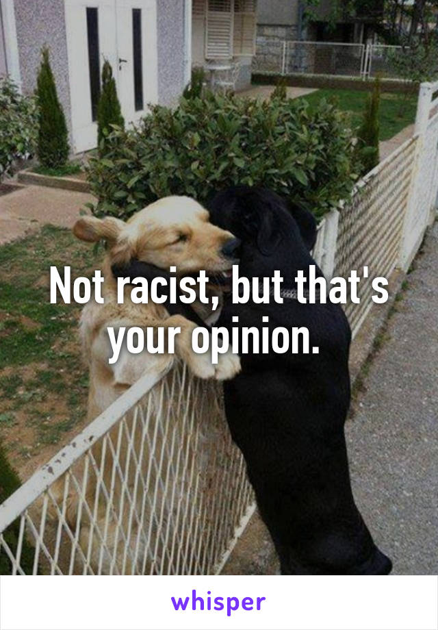 Not racist, but that's your opinion. 