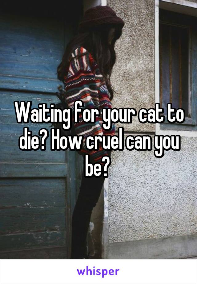 Waiting for your cat to die? How cruel can you be? 