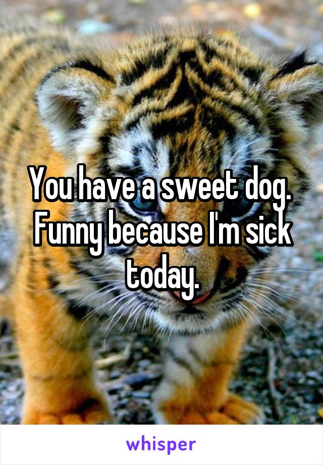You have a sweet dog.  Funny because I'm sick today.