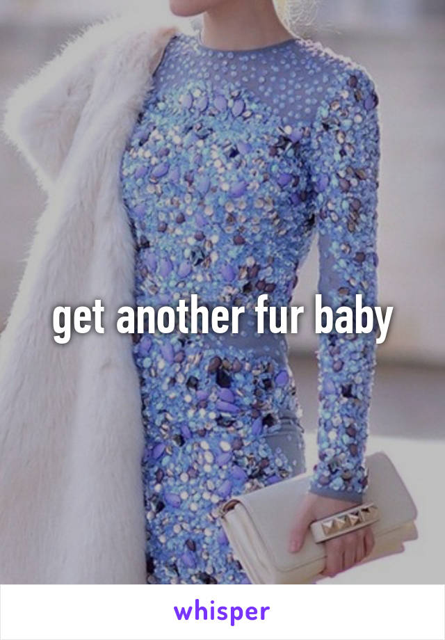 get another fur baby