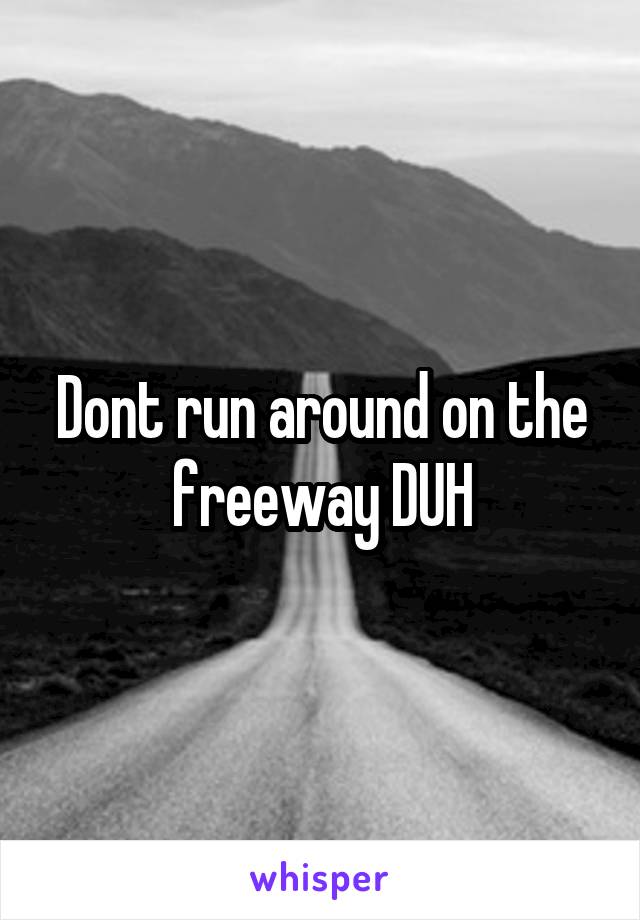 Dont run around on the freeway DUH