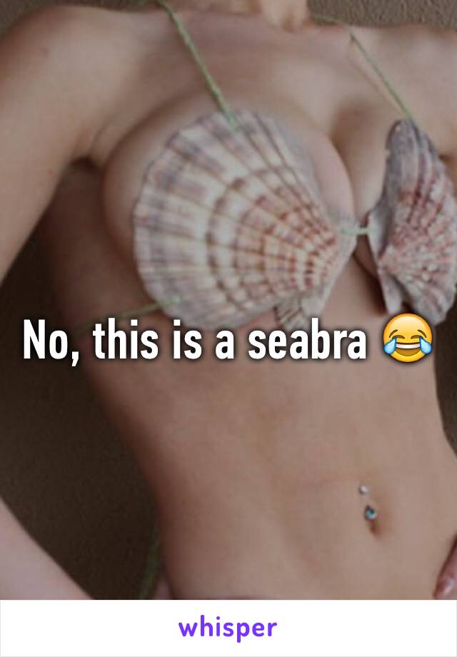 No, this is a seabra 😂