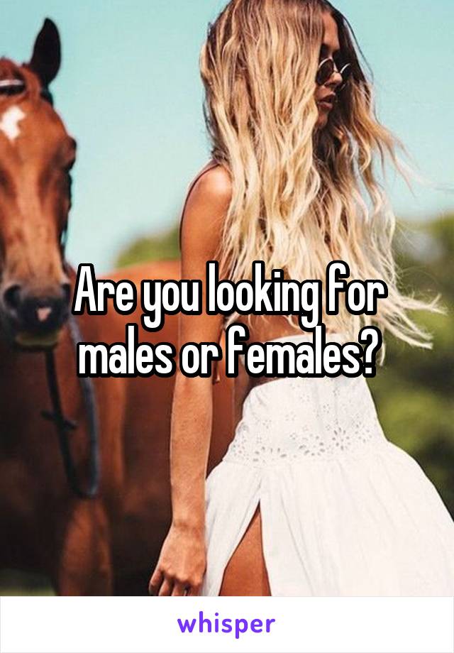 Are you looking for males or females?