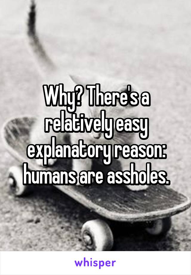 Why? There's a relatively easy explanatory reason: humans are assholes.