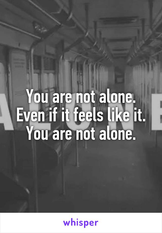 You are not alone. Even if it feels like it. You are not alone.