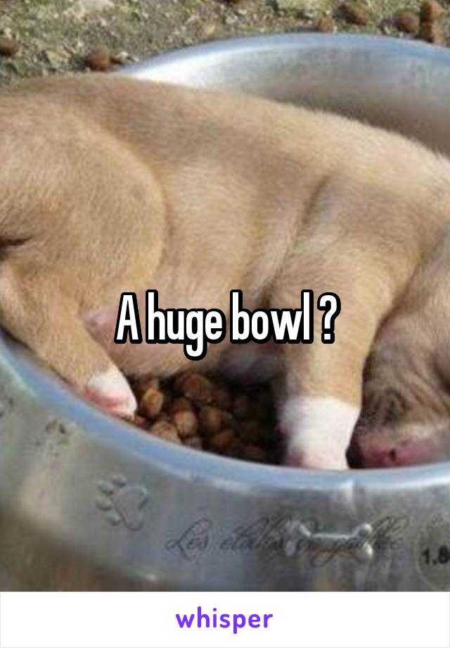 A huge bowl ?