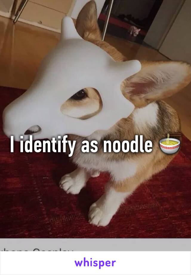 I identify as noodle 🍜