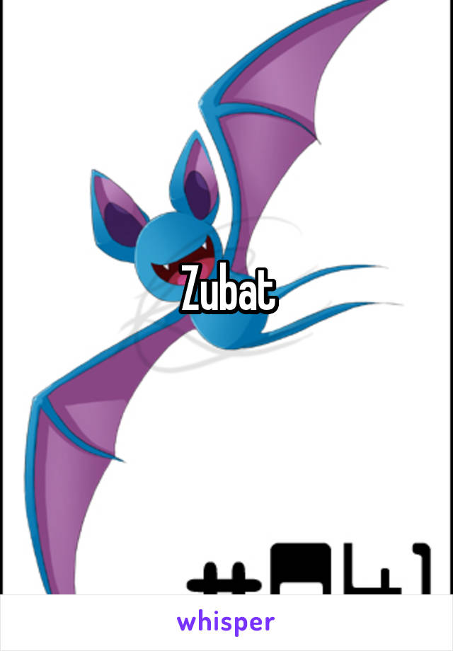 Zubat
