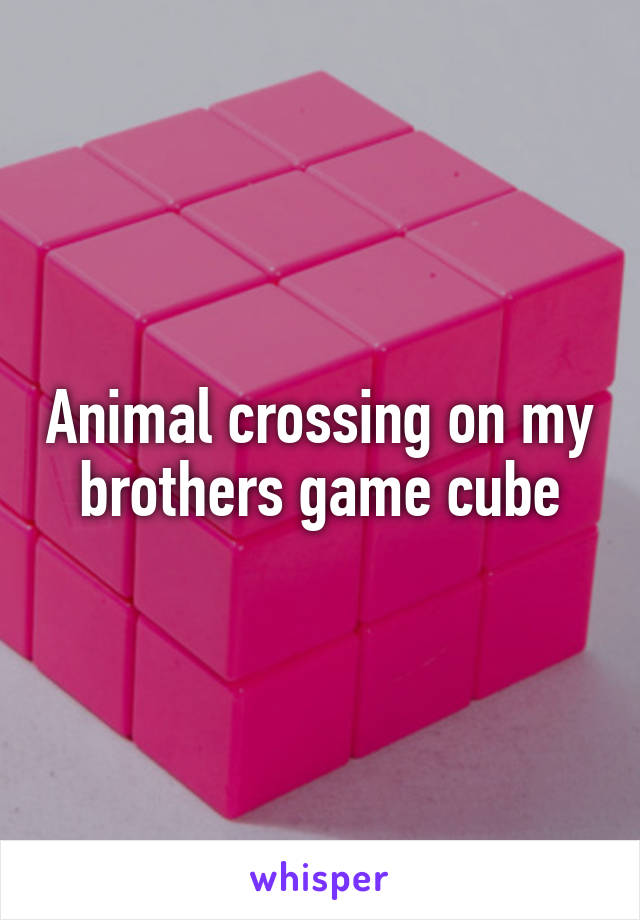 Animal crossing on my brothers game cube