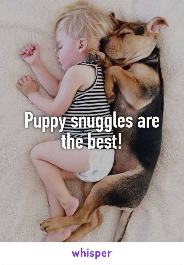 Puppy snuggles are the best!