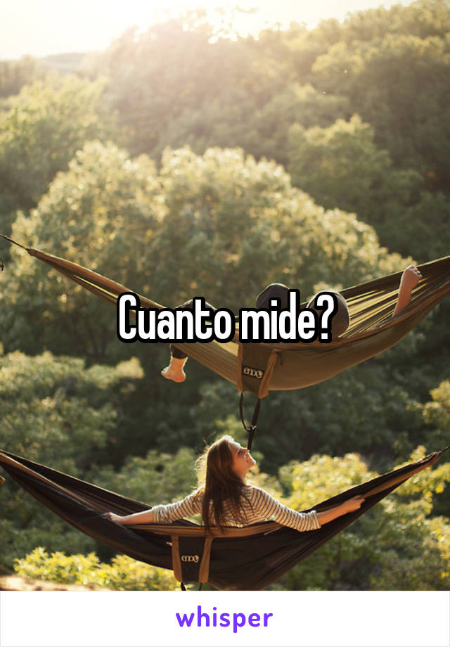 Cuanto mide?