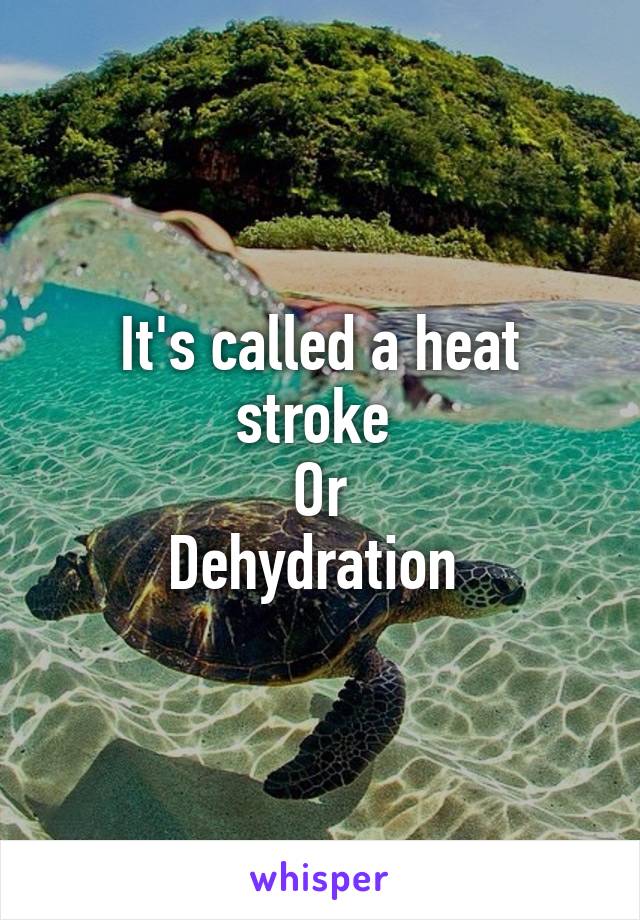 It's called a heat stroke 
Or
Dehydration 