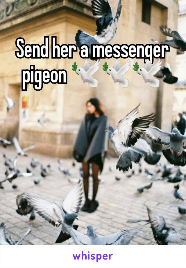 Send her a messenger pigeon 🕊🕊🕊