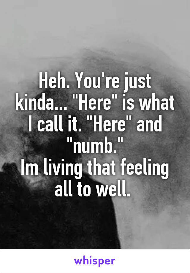 Heh. You're just kinda... "Here" is what I call it. "Here" and "numb."
Im living that feeling all to well. 