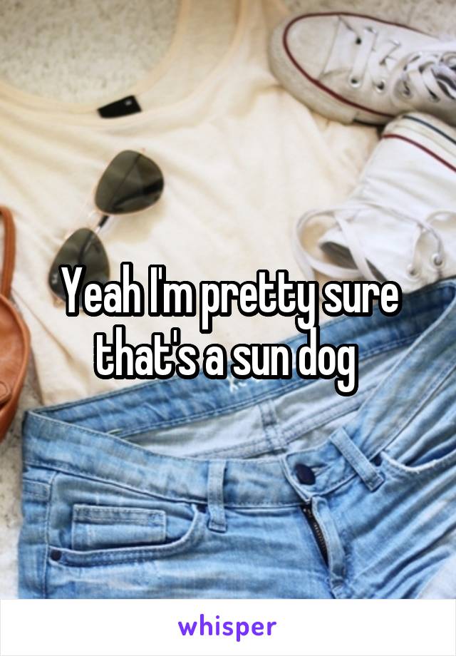 Yeah I'm pretty sure that's a sun dog 