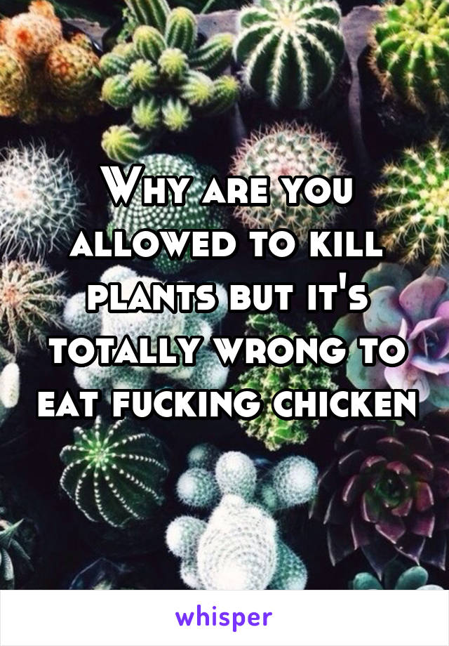 Why are you allowed to kill plants but it's totally wrong to eat fucking chicken 