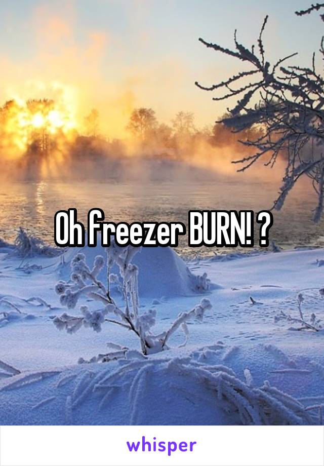 Oh freezer BURN! 😹