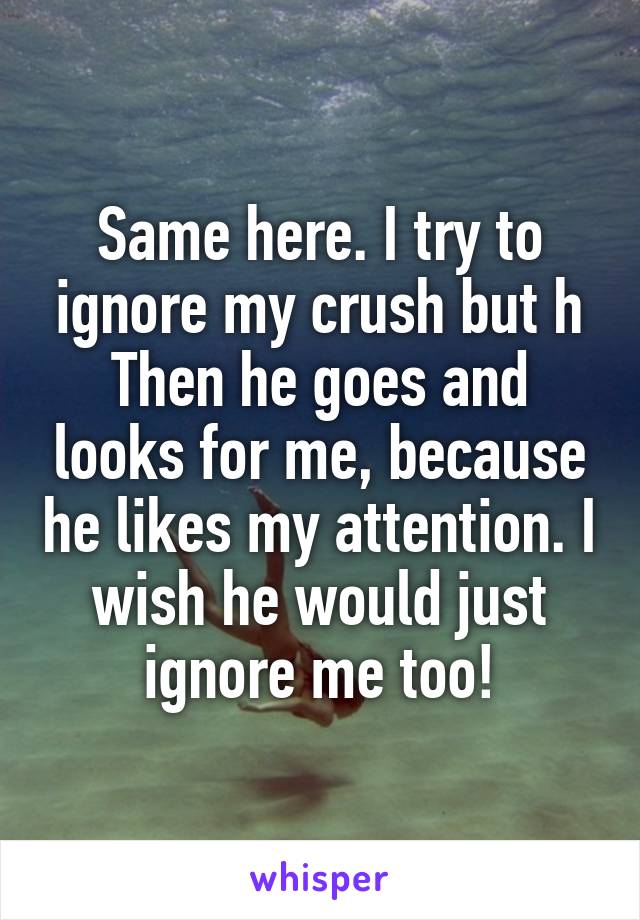 Same here. I try to ignore my crush but h
Then he goes and looks for me, because he likes my attention. I wish he would just ignore me too!