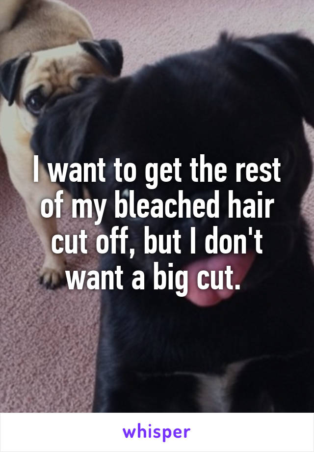 I want to get the rest of my bleached hair cut off, but I don't want a big cut. 