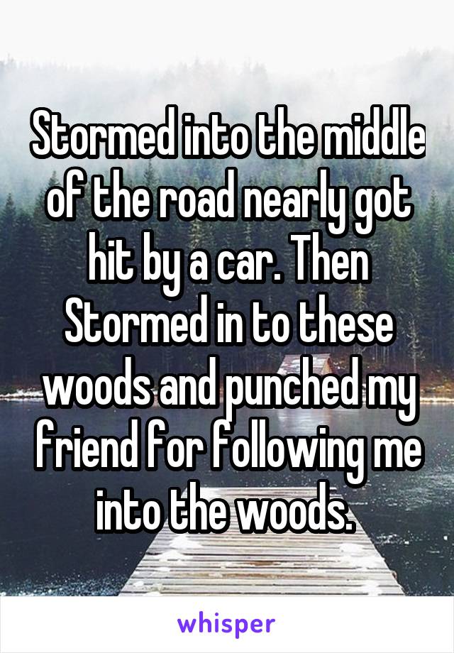 Stormed into the middle of the road nearly got hit by a car. Then Stormed in to these woods and punched my friend for following me into the woods. 