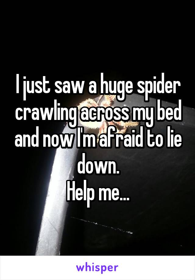 I just saw a huge spider crawling across my bed and now I'm afraid to lie down.
Help me...