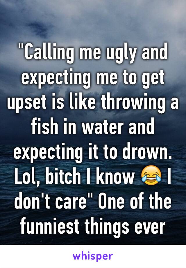 "Calling me ugly and expecting me to get upset is like throwing a fish in water and expecting it to drown. Lol, bitch I know 😂 I don't care" One of the funniest things ever