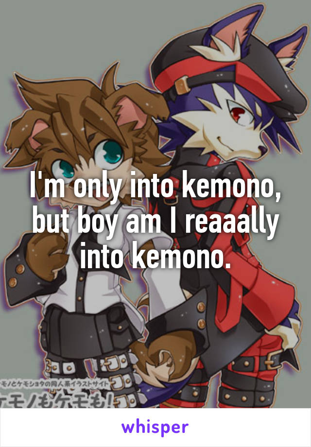 I'm only into kemono, but boy am I reaaally into kemono.