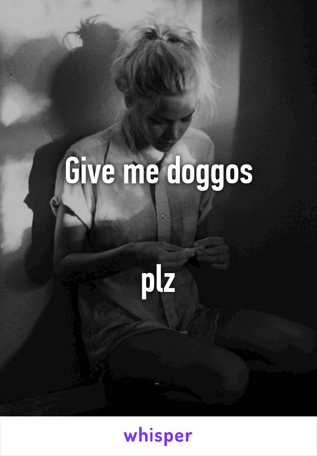 Give me doggos


plz