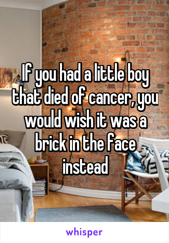 If you had a little boy that died of cancer, you would wish it was a brick in the face instead