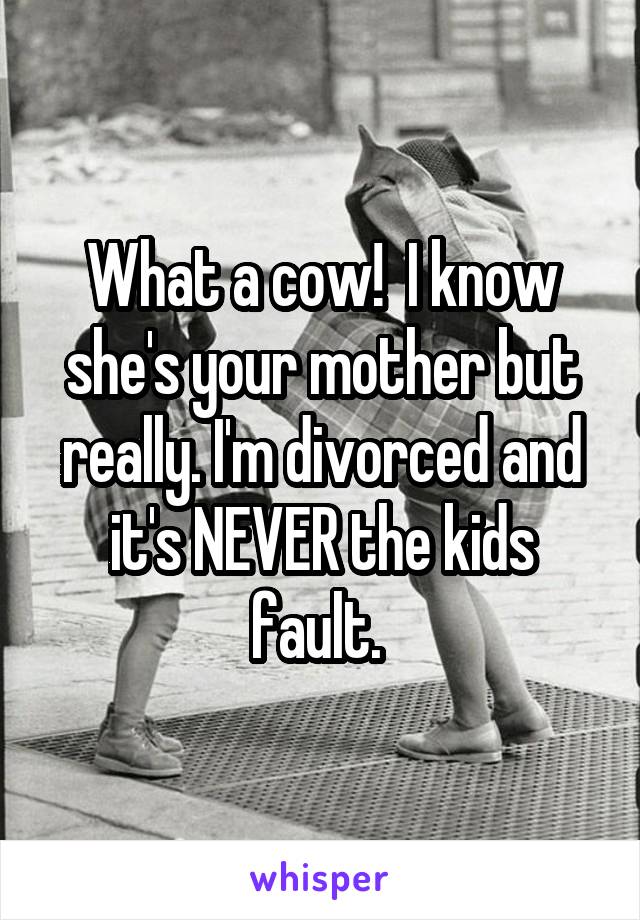 What a cow!  I know she's your mother but really. I'm divorced and it's NEVER the kids fault. 