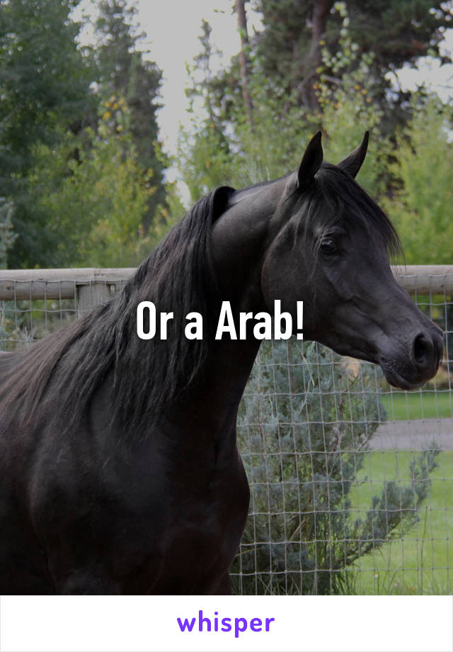 Or a Arab! 