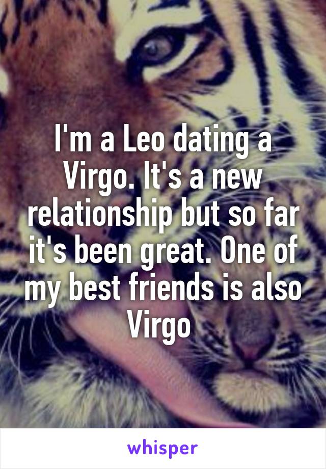 I'm a Leo dating a Virgo. It's a new relationship but so far it's been great. One of my best friends is also Virgo 