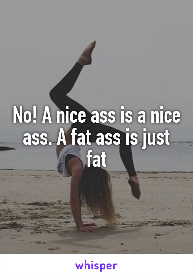 No! A nice ass is a nice ass. A fat ass is just fat
