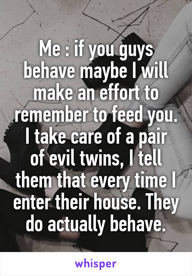 Me : if you guys behave maybe I will make an effort to remember to feed you.
I take care of a pair of evil twins, I tell them that every time I enter their house. They do actually behave.