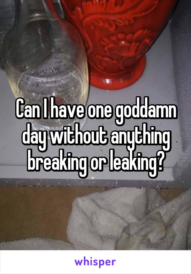Can I have one goddamn day without anything breaking or leaking?