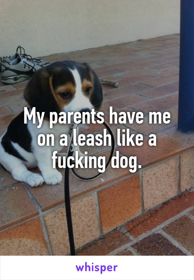 My parents have me on a leash like a fucking dog.