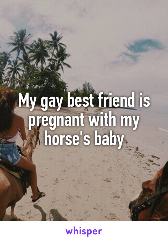 My gay best friend is pregnant with my horse's baby
