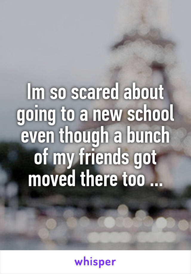 Im so scared about going to a new school even though a bunch of my friends got moved there too ...