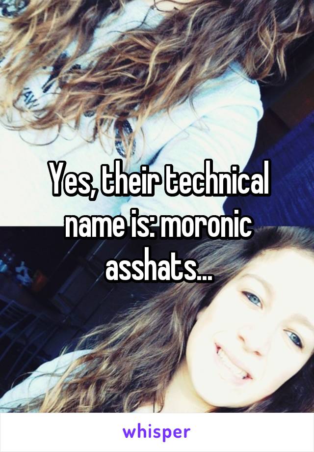 Yes, their technical name is: moronic asshats...